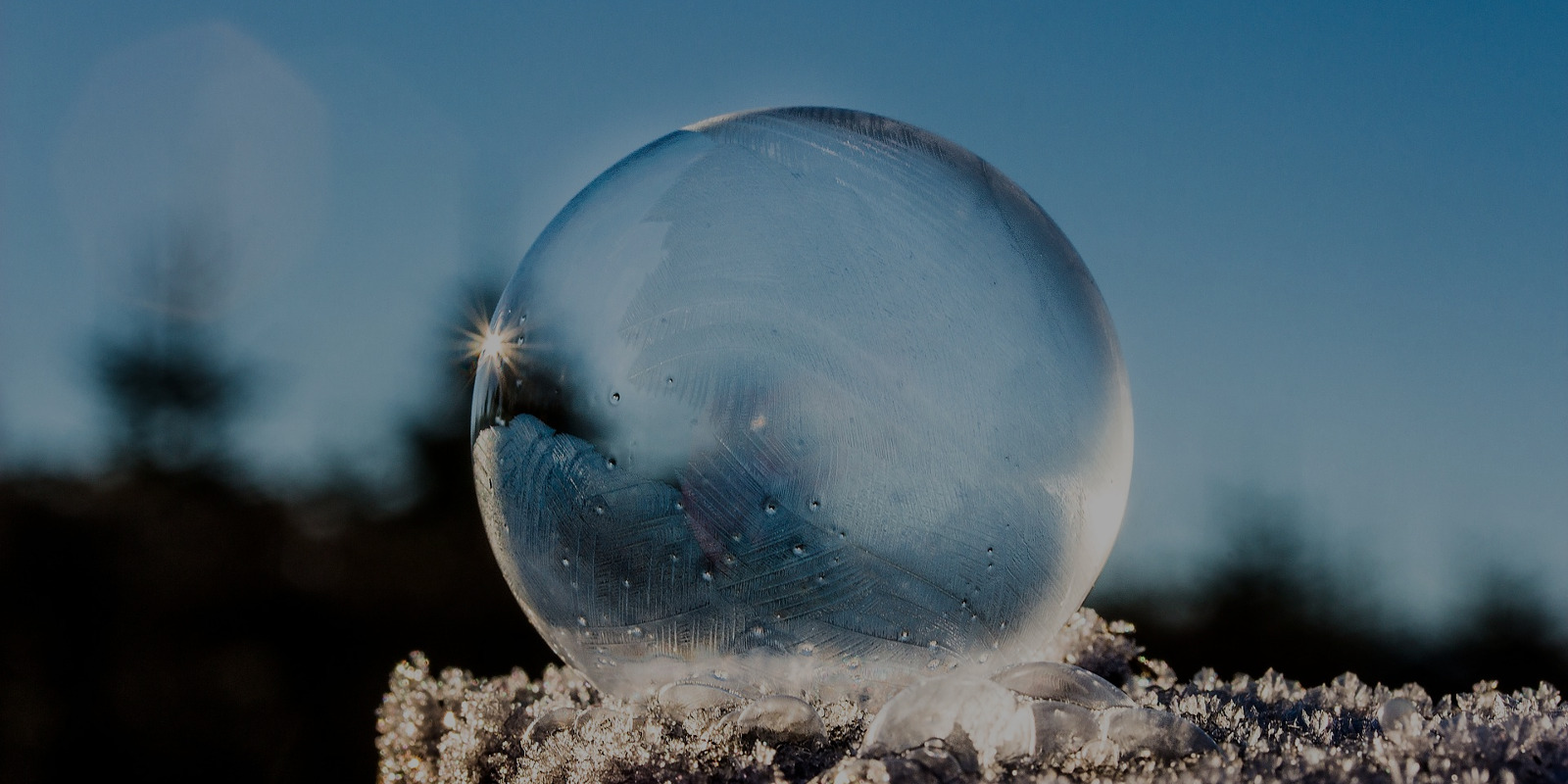 Inzicht in leerdoelen en kwalificaties